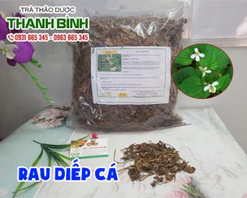 Mua bán rau diếp cá tại quận 12 giúp hỗ trợ tăng cường sức đề kháng