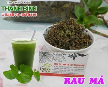 Mua bán rau má tại tphcm uy tín chất lượng tốt nhất