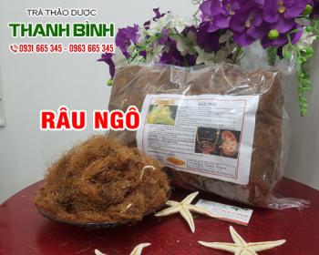 Mua bán râu ngô tại huyện thường tín điều trị viêm gan và vàng da