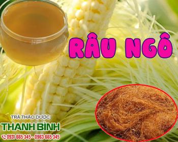 Mua bán râu ngô tại quận 10 rất có lợi giúp tăng cường chức năng tiêu hóa