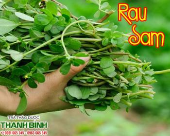 Mua bán rau sam tại quận 5 tăng cường hệ miễn dịch giảm nguy cơ bệnh tim