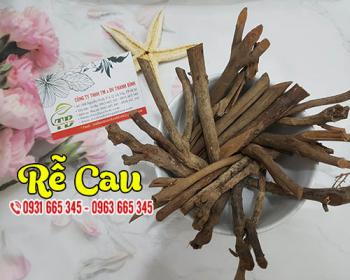 Tăng cường sinh lý cho phái nam và nữ hiệu quả nhờ rễ cau