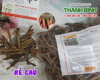 Mua bán rễ cau tại huyện thường tín giúp chữa thận hư và phù thũng