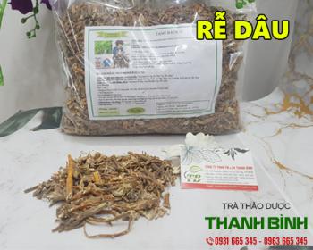 Mua bán rễ dâu ở quận bình thạnh giúp trị tóc dễ bị gãy rụng