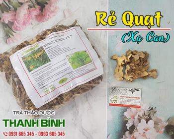 Giá bán xạ can tốt nhất và hỗ trợ điều trị viêm họng hiệu quả