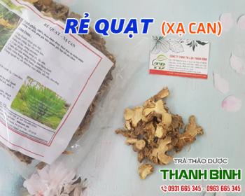 Mua bán rẻ quạt ở quận bình tân giúp giải nhiệt và tiêu đờm