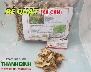 Mua bán rẻ quạt tại quận 2 có tác dụng điều trị ho khá tốt