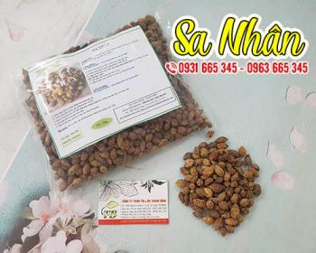 Quả sa nhân có tác dụng gì đối với sức khỏe?