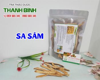 Mua bán sa sâm ở huyện hóc môn có tác dụng lợi sữa và lợi tiểu