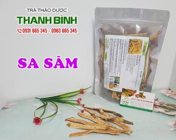 Mua bán sa sâm tại huyện chương mỹ có tác dụng điều trị viêm phế quản