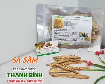 Mua bán sa sâm tại an giang giúp thanh nhiệt cơ thể hiệu quả nhất