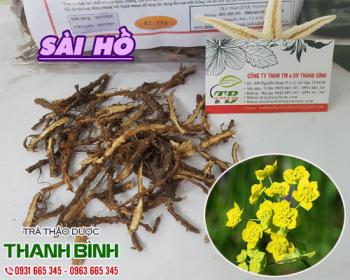 Mua bán sài hồ ở quận gò vấp chữa cảm cúm và nghẹt mũi