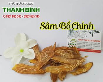 Mua bán sâm bố chính tại huyện thanh oai giúp bổ thận tráng dương hiệu quả