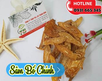 Sâm bố chính tăng cường sinh khỏe và cải thiện cho não bộ tuyệt vời