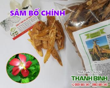 Mua bán sâm bố chính tại tphcm uy tín chất lượng nhất