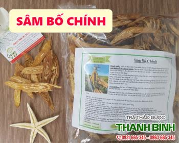 Mua bán sâm bố chính tại quận 12 giúp phục hồi cơ thể sau cơn sốt