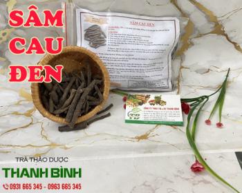 Mua bán sâm cau đen ở huyện củ chi điều trị hen suyễn và ngứa ngoài da