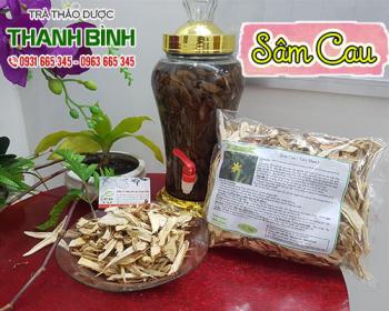 Sâm cau giúp tăng cường sinh lý và sức khỏe rất tốt cho nam giới