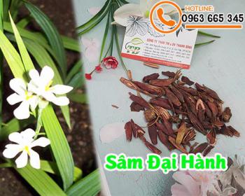 Thảo dược sâm đại hành tốt cho sức khỏe như thế nào?