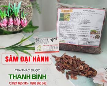 Mua bán sâm đại hành tại khánh hòa có tác dụng điều trị ho nhiều đờm