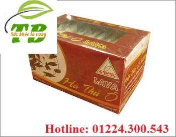 Lava cao hà thủ ô 