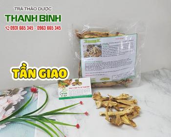 Tần giao [công dụng cách dùng] địa chỉ mua bán giá rẻ ở đâu?