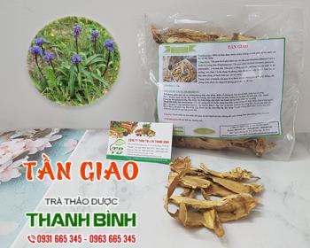 Mua bán tần giao tại huyện phúc thọ có tác dụng giảm đau kháng viêm