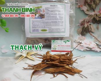 Mua bán thạch vỹ tại quận hà đông ngăn ngừa sỏi hình thành rất tốt