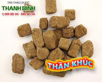 Mua bán thần khúc ở huyện cần giờ phục hồi sức khỏe sau cảm sốt