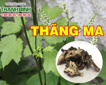 Mua bán thăng ma ở quận thủ đức trị chứng lở loét nổi mụn nhọt trong miệng