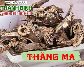 Thăng ma [ hình ảnh cách dùng ] mua ở đâu?