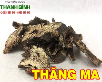 Mua bán thăng ma  tại quận 2 chữa đau chân răng nóng dạ dày hiệu quả