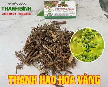 Mua bán thanh hao hoa vàng tại quận gò vấp giúp trị sốt rét hiệu quả