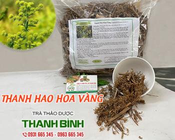 Mua bán thanh hao hoa vàng tại quận hai bà trưng giúp làm giảm ho