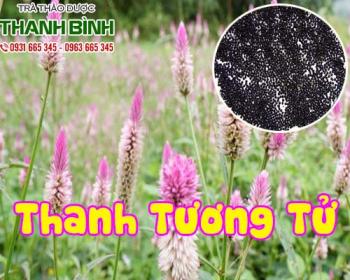 Thanh tương tử [công dụng cách sử dụng] địa chỉ mua bán giá rẻ nhất
