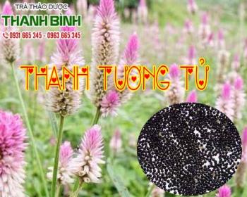 Mua bán thanh tương tử ở huyện cần giờ chủ trị hư thực phức tạp làm mắt mờ