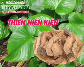 Mua bán thiên niên kiện ở quận phú nhuận dùng để ngâm rượu trị bệnh