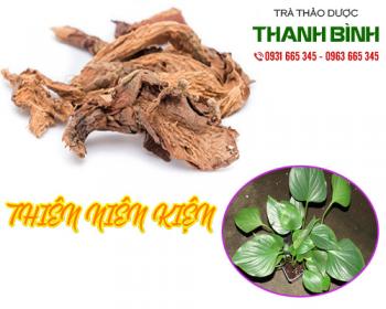 Mua bán thiên niên kiện ở quận thủ đức trị tê thấp và nhức mỏi gân cốt