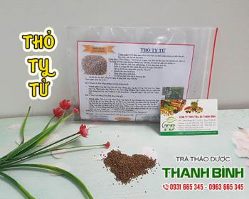 Mua thỏ ty tử ở đâu tại tphcm?