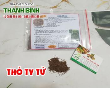 Mua bán thỏ ty tử tại quận 1 hỗ trợ điều trị sinh lý yếu ở nam nữ rất tốt