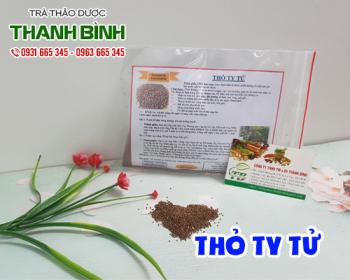 Mua bán thỏ ty tử ở huyện bình chánh giúp tăng cường sức khỏe và bổ thận