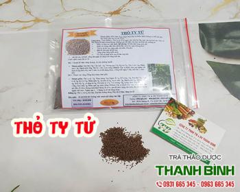 Thỏ ty tử [công dụng tăng cường sinh lý] mua bán nguyên chất ở đâu?