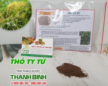 Mua bán thỏ ty tử tại bắc kạn giúp điều trị xuất tinh sớm uy tín nhất