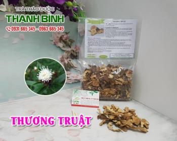 Mua bán thương truật tại huyện thanh trì sử dụng rất có lợi cho tiêu hóa