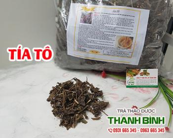 Mua tía tô ở đâu tại tphcm?