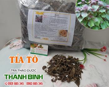 Mua bán tía tô tại sơn tây giúp điều trị trúng độc do ăn hải sản