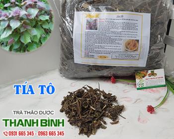Mua bán tía tô tại đà nẵng có công dụng điều trị viêm da an toàn nhất