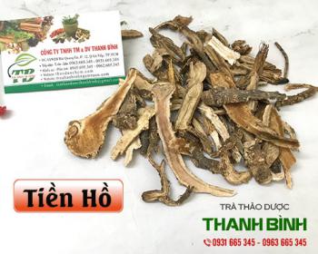 Mua bán tiền hồ ở huyện bình chánh giúp trị ho và viêm họng hiệu quả
