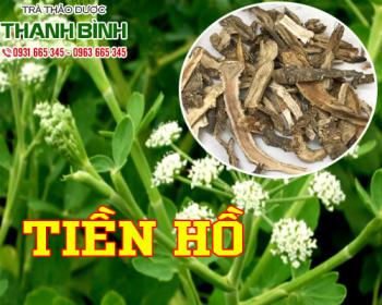 Mua bán tiền hồ tại quận 12 điều trị mụn nhọt đang sưng hiệu quả