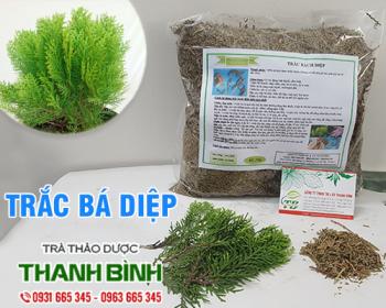 Mua bán trắc bá diệp tại huyện thanh trì giúp nhuận tràng an toàn nhất